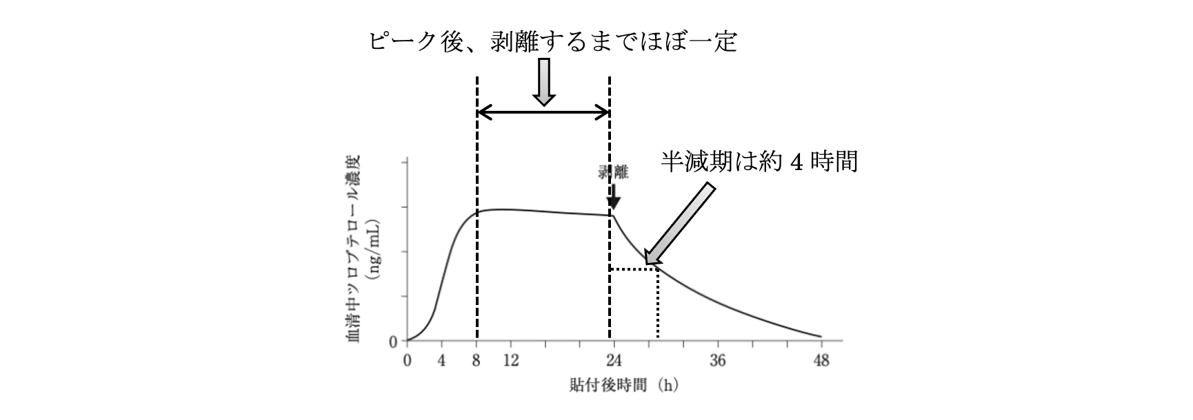 解説画像